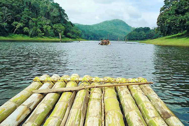 Kerala Highlands & Backwaters Escape